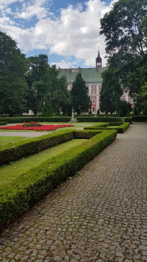Chopin Park Lux Apartment, Self Check-In 24H, Free Parking, Air-Conditioning Poznan Bagian luar foto